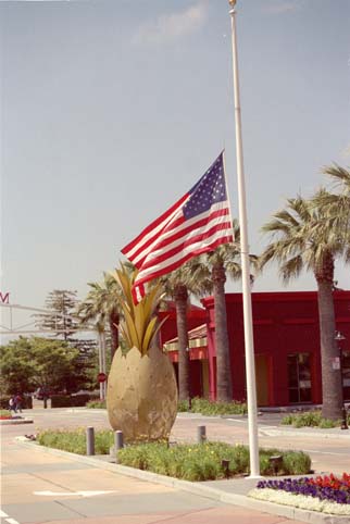 Flag at Half Staff, Santa Clara Mercado