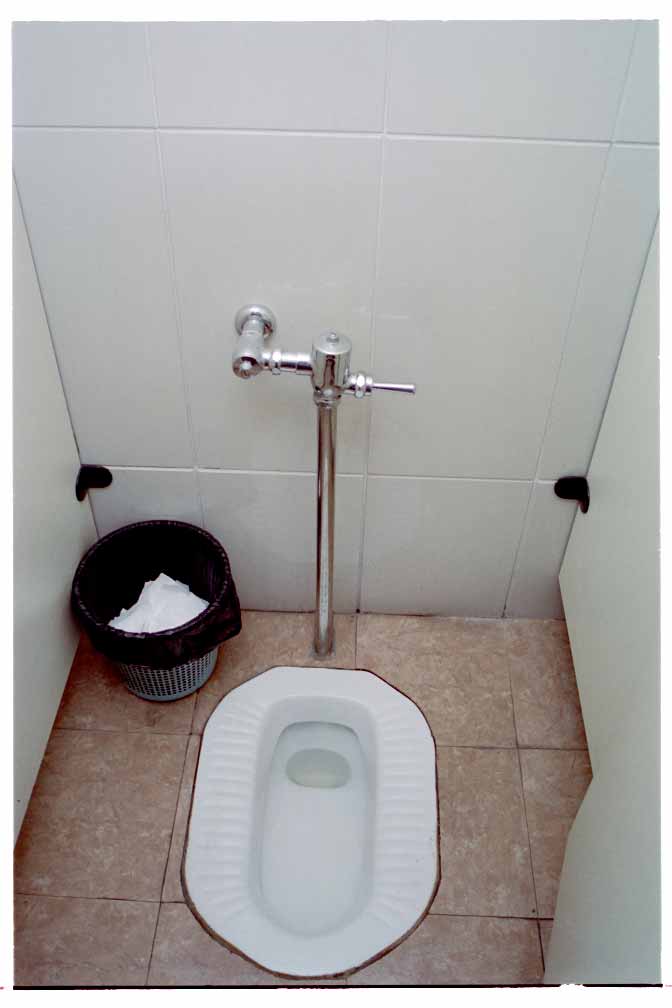 Chinese style toilet