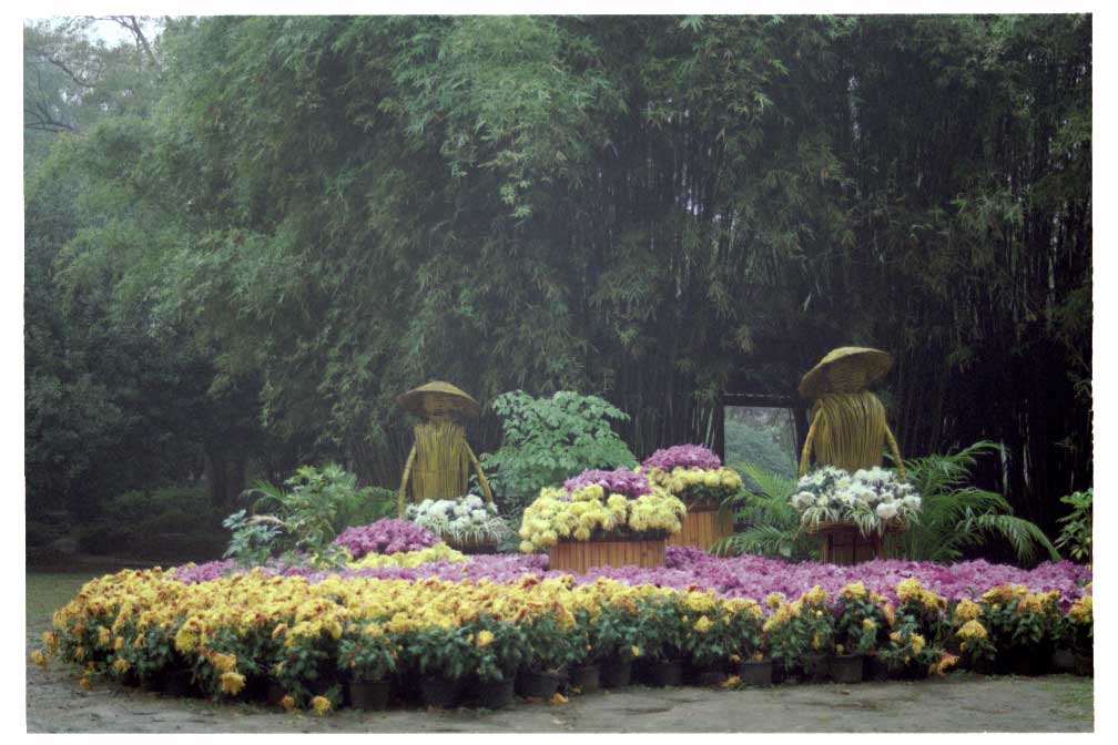 Wicker statue in Xuanwu Lake