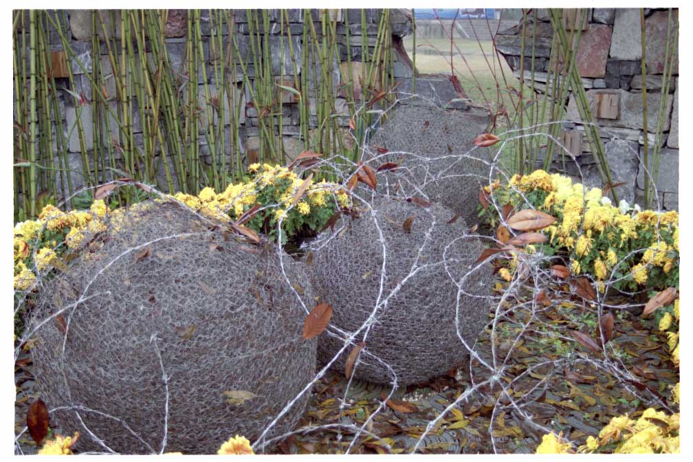 Barbed wire statue in Xuanwu Lake