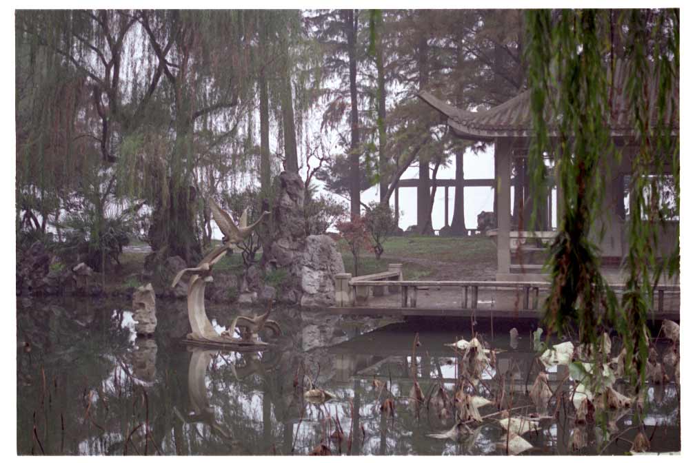 Goose statue in Xuanwu Lake